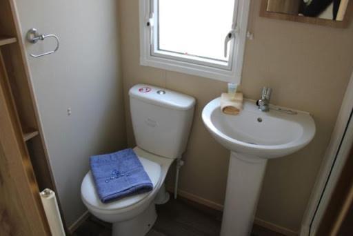 Nb166 - Porth Bay Hideaway Apartment New Quay Exterior foto